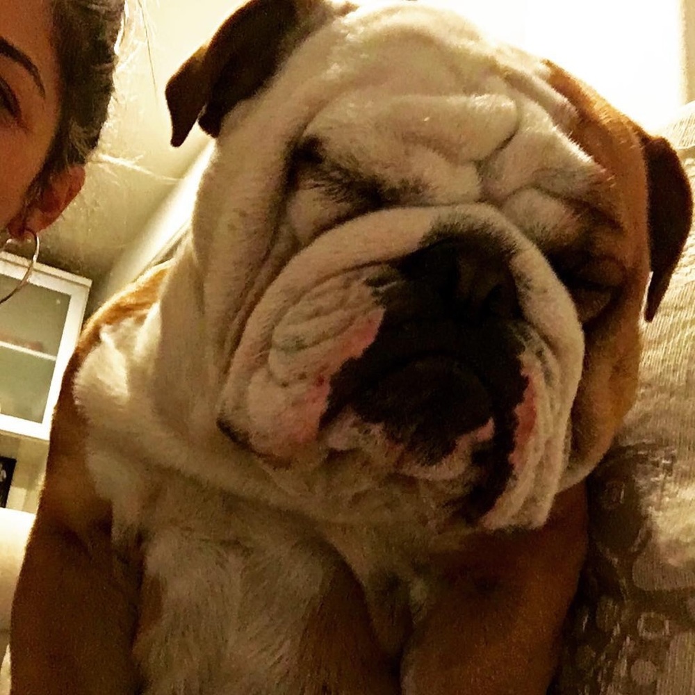 Meet your Posher, Monica